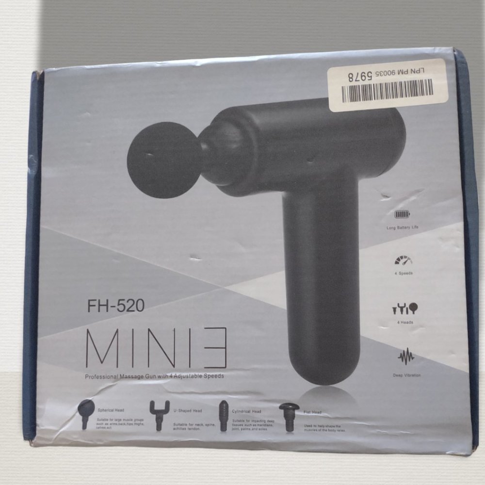 Minie Massager FH-520